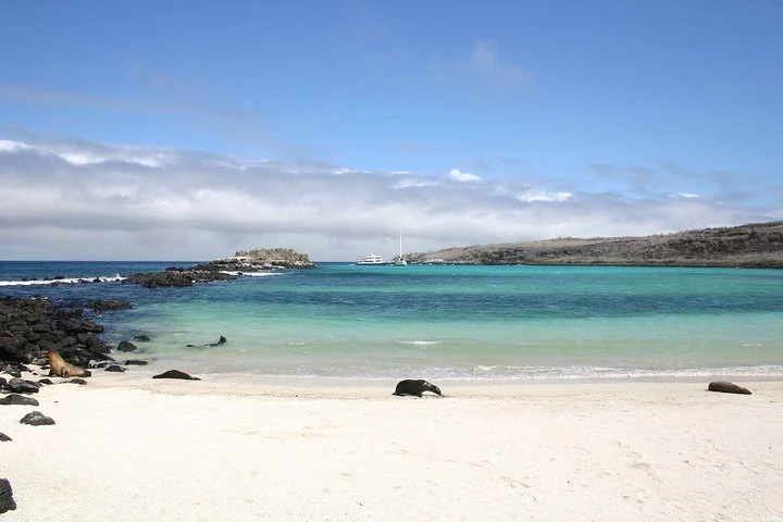 Galápagos: Santa Cruz e Isabela. Excursiones de 6 días - imagen #7