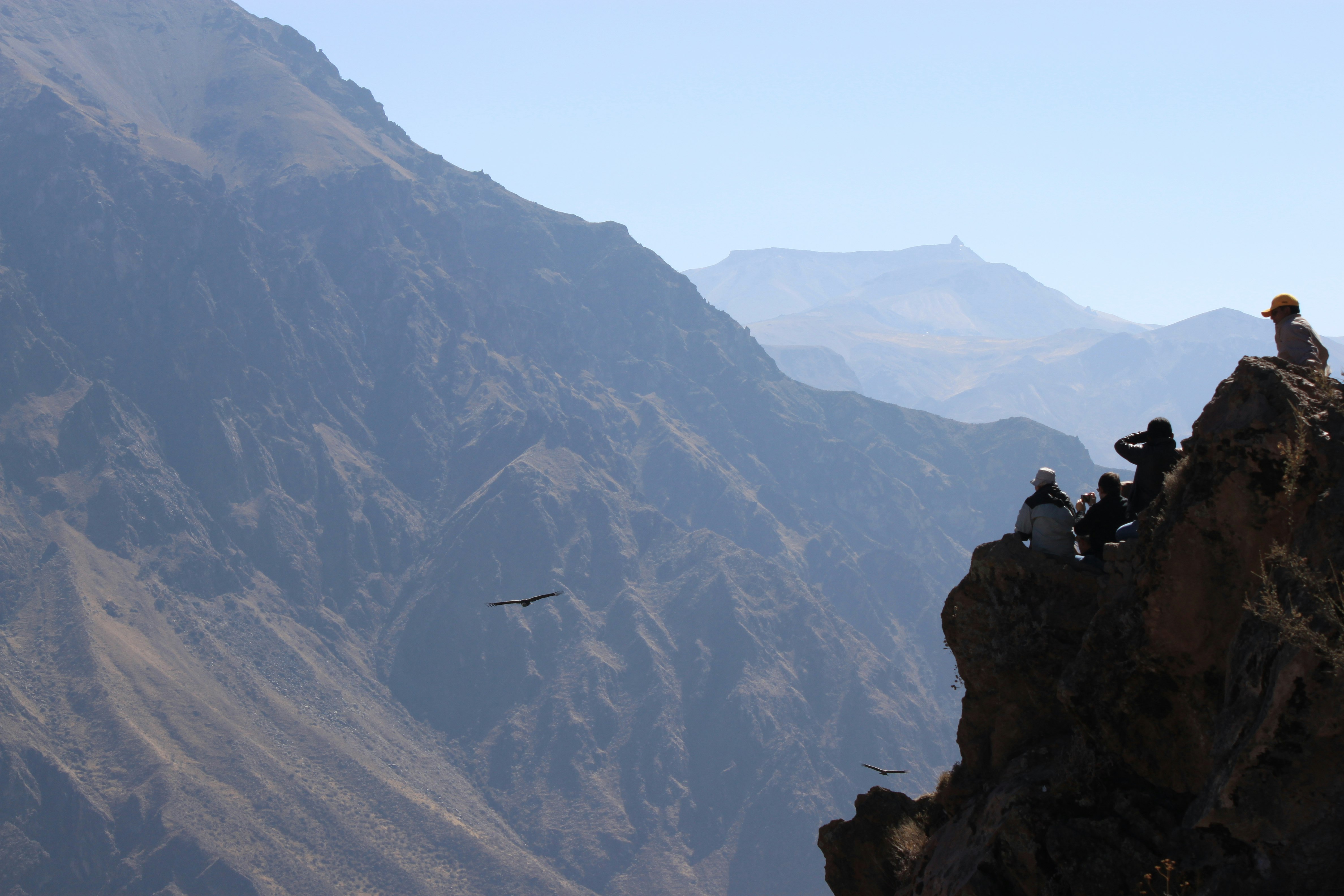 2-Day Flight of Condor on Colca Canyon from Arequipa - imagen #9