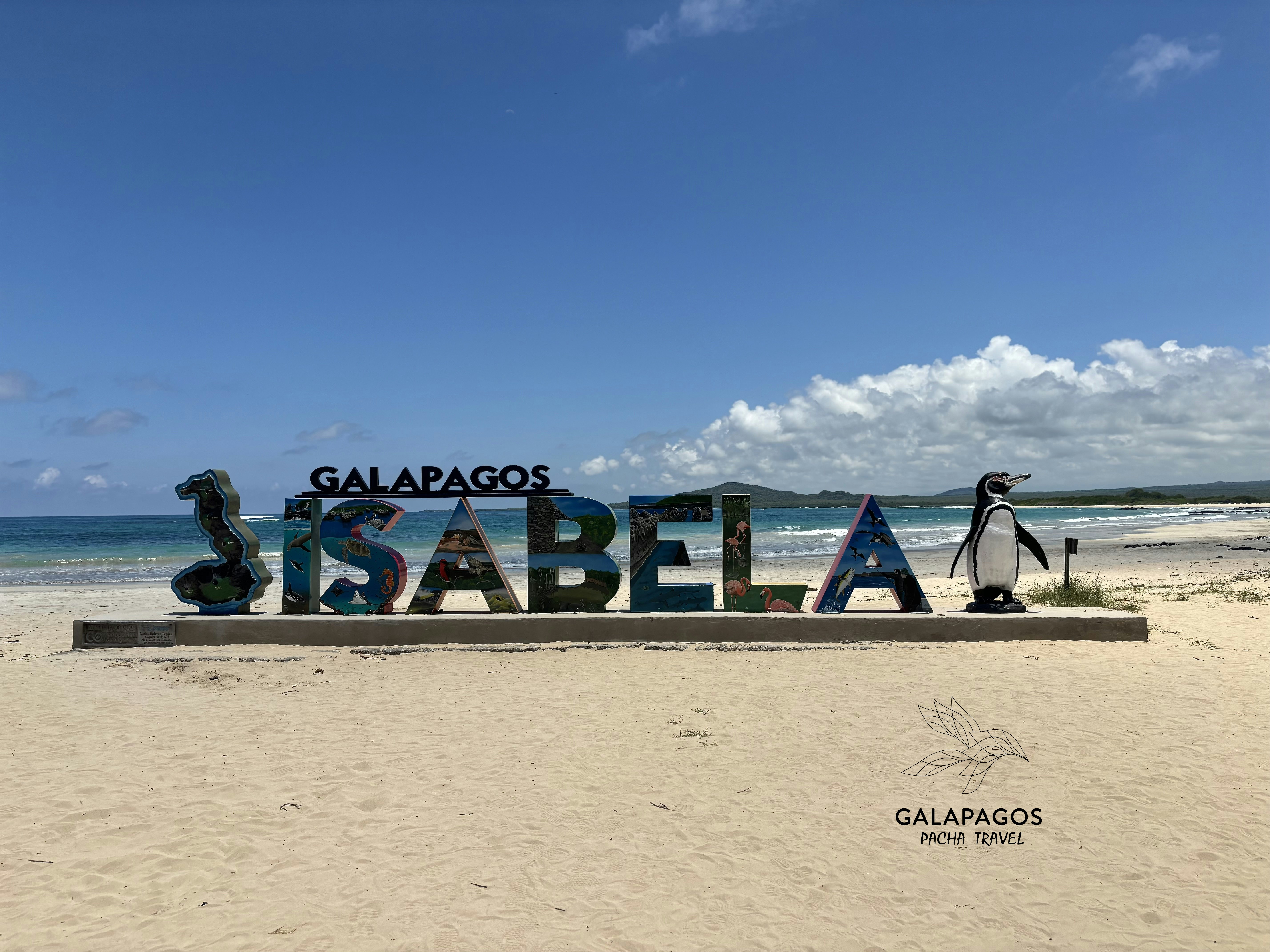 7 días / Santa Cruz y Estación Científica Charles Darwin, Isabela - imagen #12