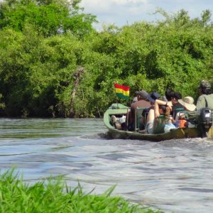 BO-RUR-02: Rurrenabaque | Excursión por la selva | 3 días/2 noches de inmersión en el Amazonas en el Parque Nacional Madidi - imagen #2