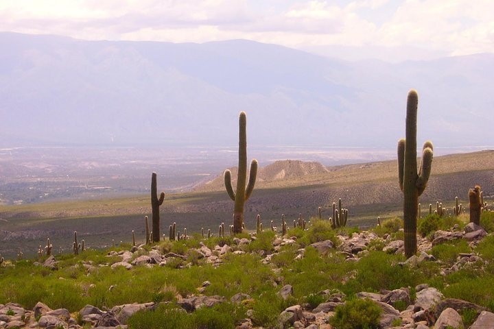 Tafi del Valle Half-Day Tour from Tucuman - imagen #3