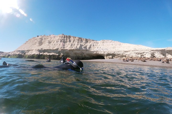 Snorkeling with Sea Lions in Puerto Madryn - imagen #6