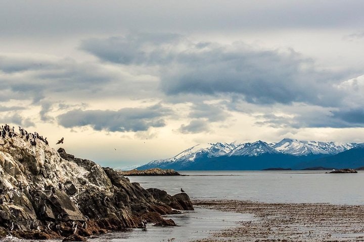 Beagle Channel Sailing Experience on a Catamaran - imagen #2