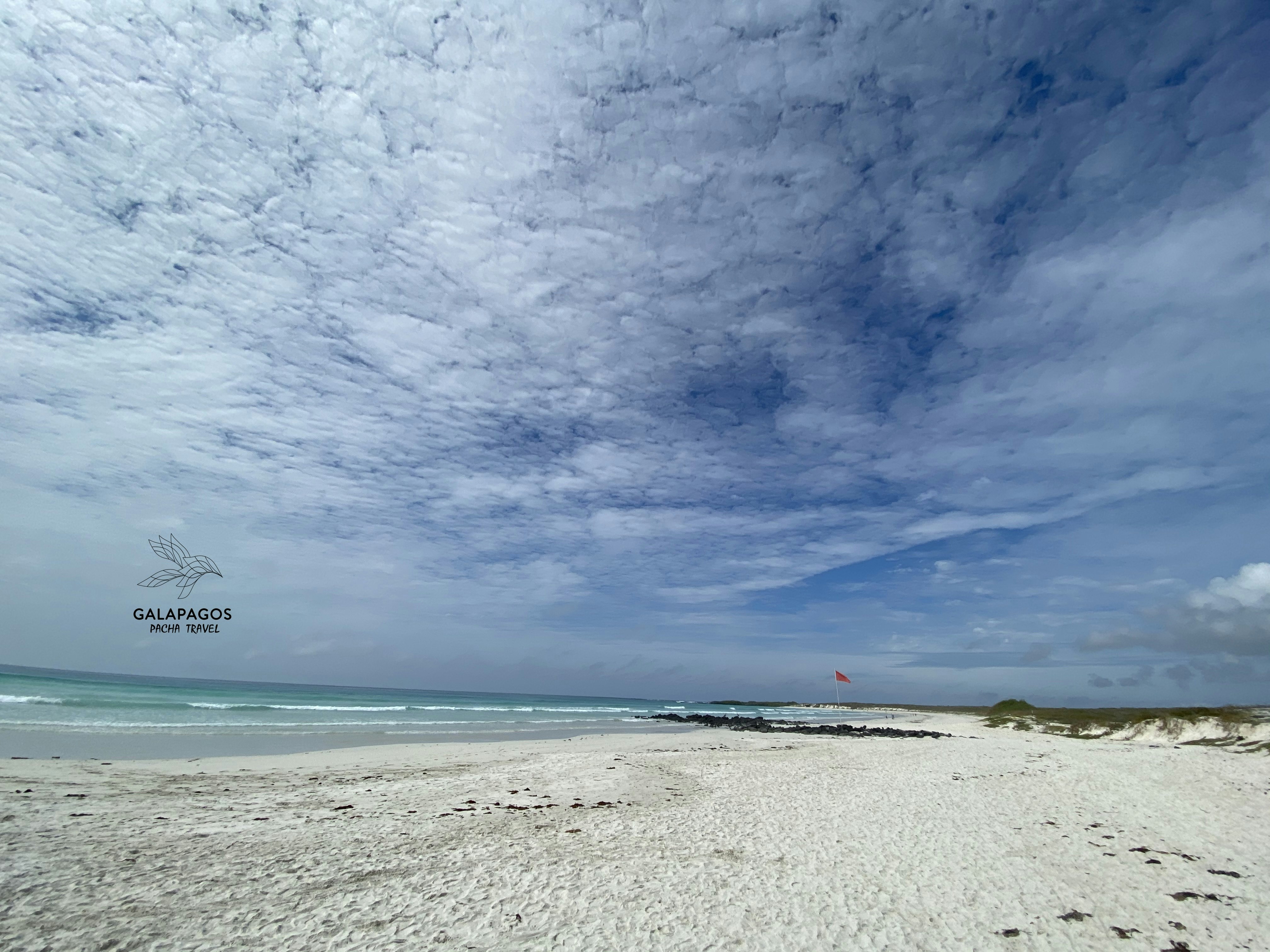 5 day / Sta. Cruz Highlands & C. Darwin RS, Bartolome, N. Seymour - imagen #28