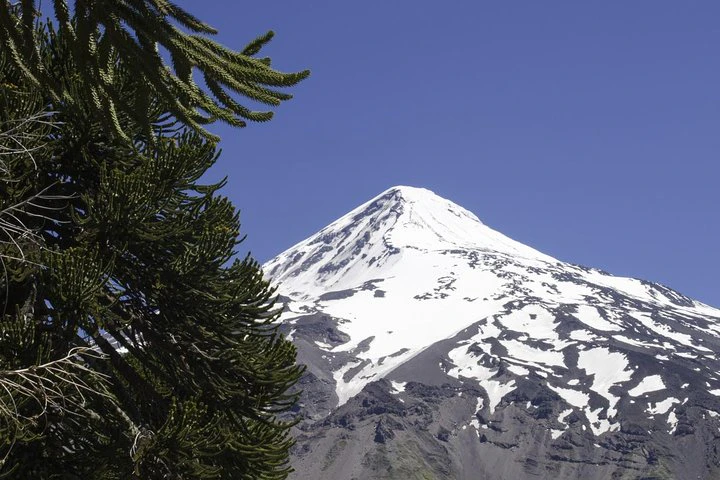 Excursión a caballo: Parque Nacional de Lanín y cultura mapuche - imagen #2