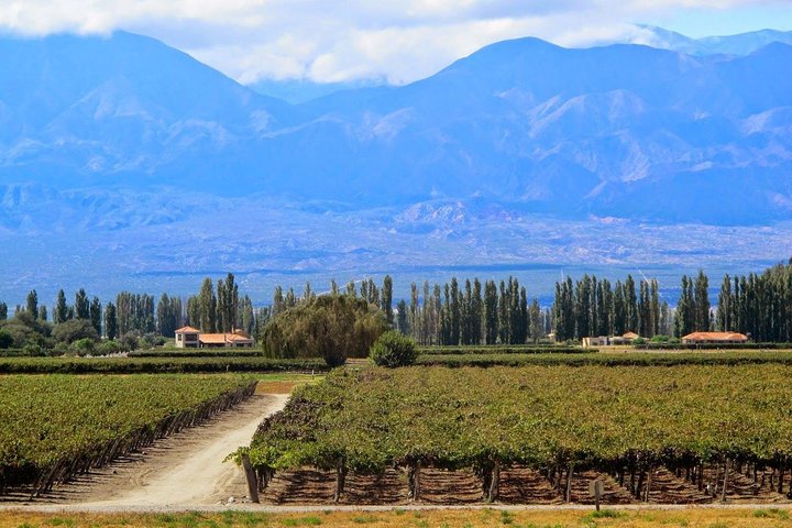 5-Day Salta Private Luxury Trip