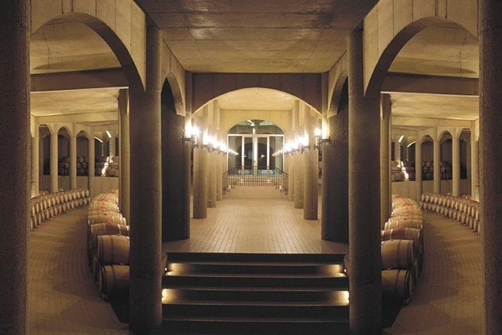 Excursión de medio día a los viñedos Haras de Pirque desde Santiago, por la mañana o por la tarde. - imagen #2