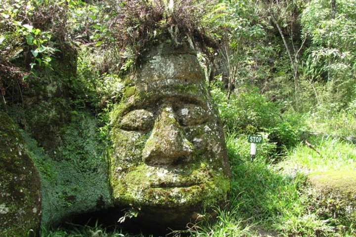 Excursión de día completo a Floreana - imagen #9
