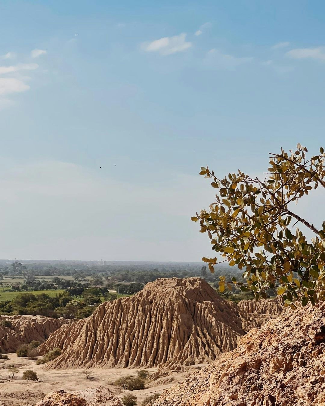 Chi-01 : Túcume s Enigmatic Pyramids and Pomac Rainforest - imagen #6