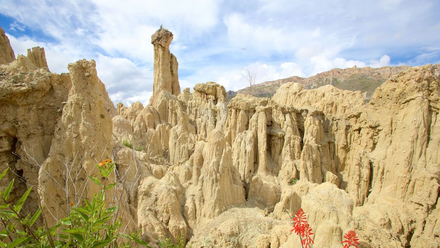 BO-PAZ-01: La Paz | Visita guiada por la ciudad + Valle de la Luna: una excursión imprescindible para descubrir la historia y la naturaleza - imagen #5