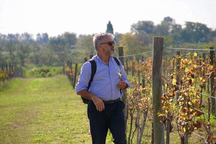 Bodega Gamboa Small-Group Wine Tasting Tour with Lunch - imagen #15