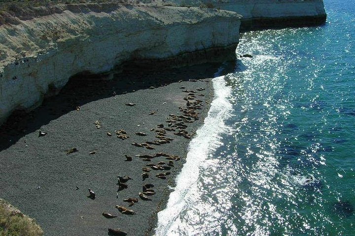 Puerto Madryn Gulf Sightseeing Cruise - imagen #4