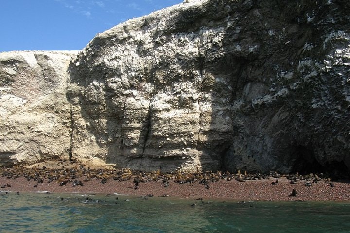 Paracas with Ballestas Islands Tour Package - imagen #7
