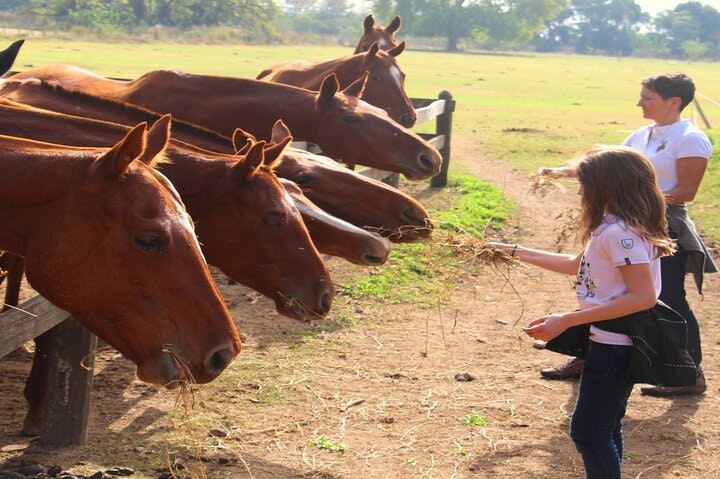 Polo Lesson Experience at Villa Maria with Argentinean Barbecue - imagen #9