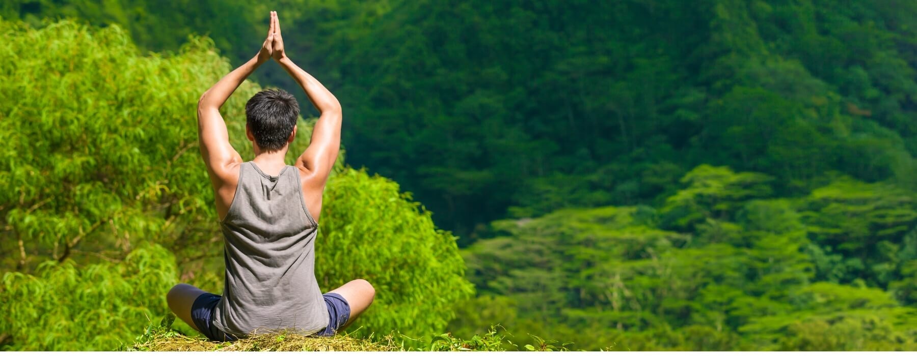 Cus-24 : Ayahuasca Discover - 1 Day of Self-Discovery - imagen #5