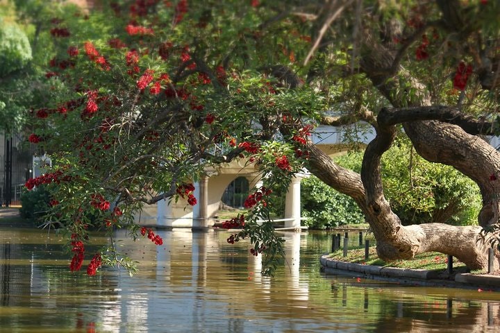Buenos Aires Bike Tour: North Districts, Recoleta and Palermo - imagen #7