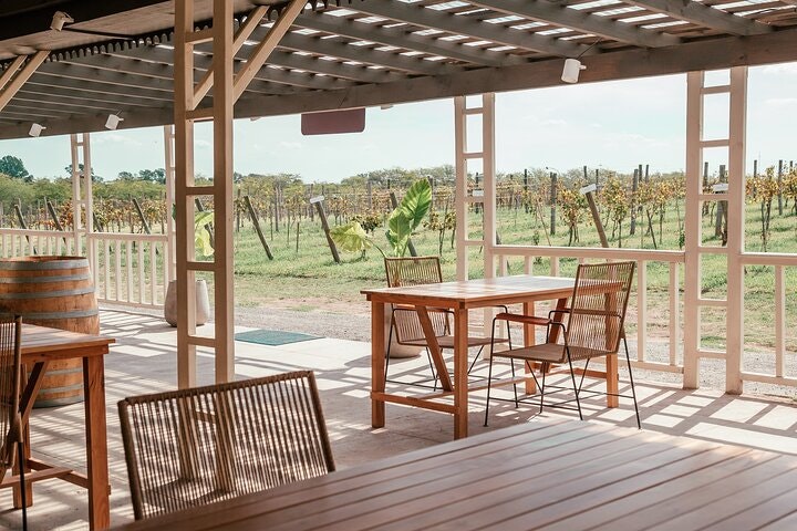 Bodega Gamboa Small-Group Wine Tasting Tour with Lunch - imagen #18