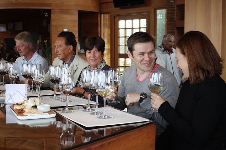 Casablanca Valley Wine Tour from Santiago - imagen #3