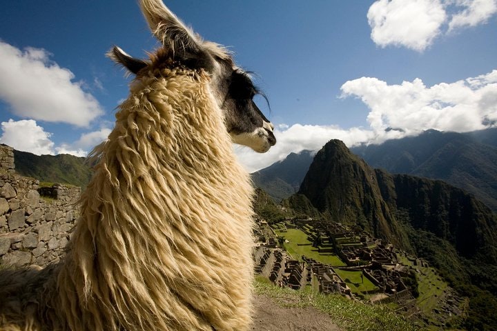 7-Day Peru Private Journey: Lima, Cusco, Sacred Valley & Machu Picchu - imagen #5
