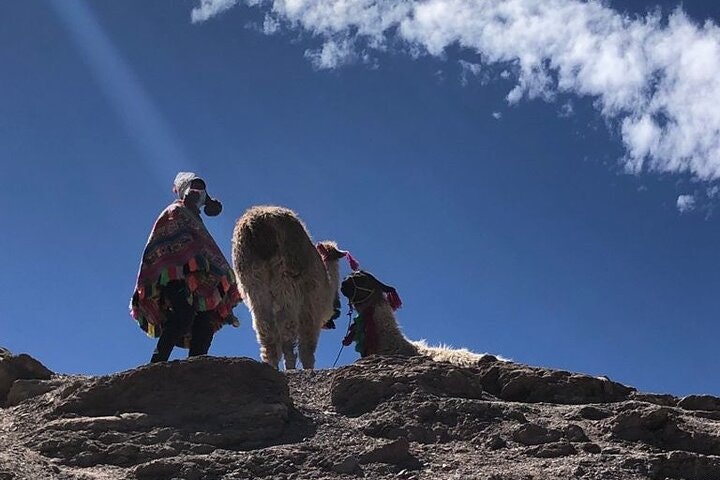 Vinicunca Rainbow Mountain Full-Day Tour from Cusco - imagen #6
