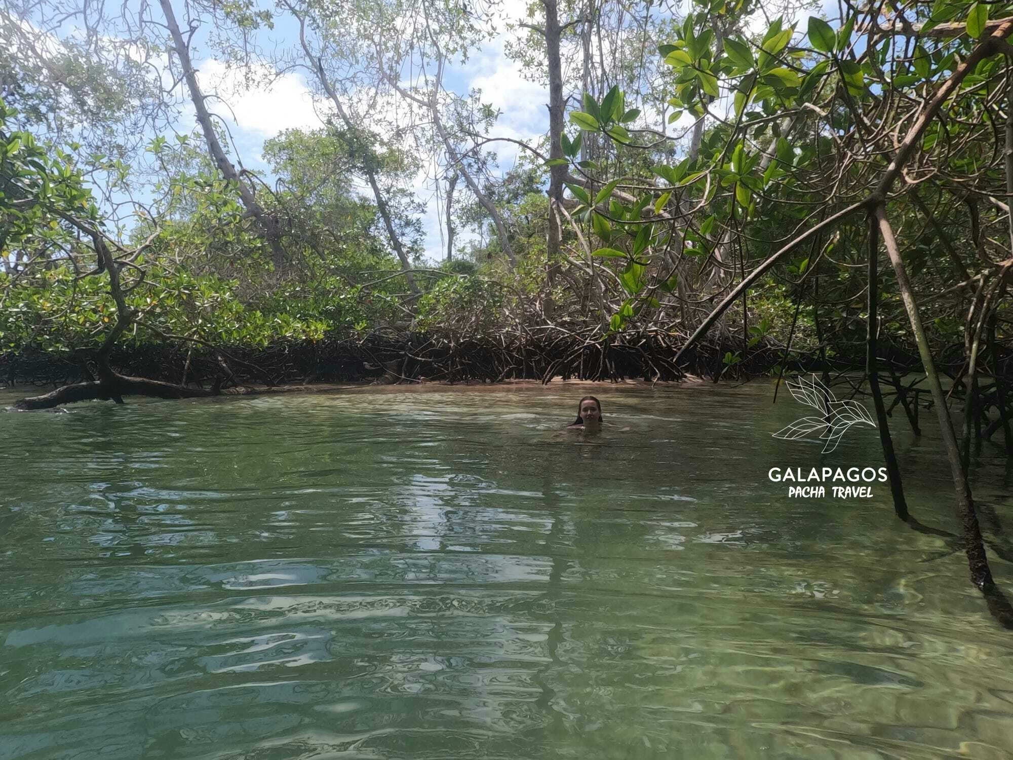 Bike or Hike Wetlands Wall of Tears & G.Tortoise Breeding Center - Isabela - imagen #3