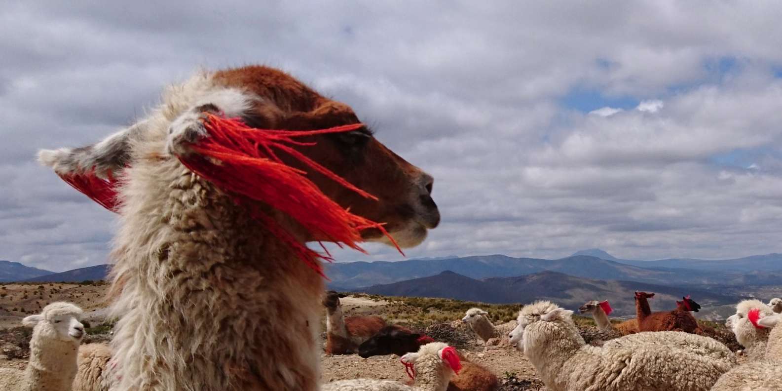Are-04: Trekking por el Cañón del Colca 3D/2N