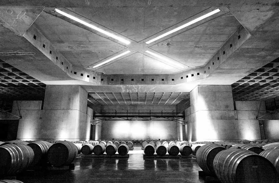 3-Day Mendoza Enchanted Vine Retreat With Optional Airfare - imagen #20