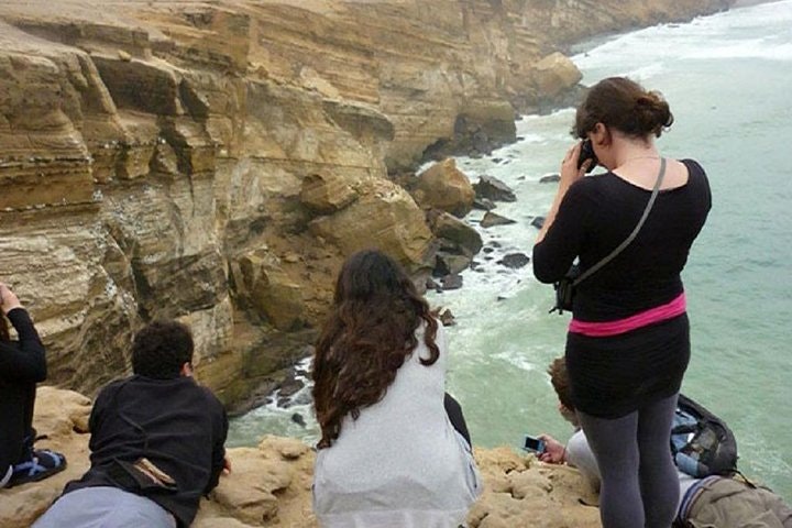 Paracas National Reserve Half Day Tour - imagen #5