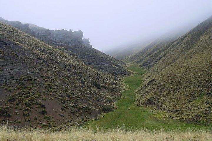 El Calafate Safari Experience - imagen #6