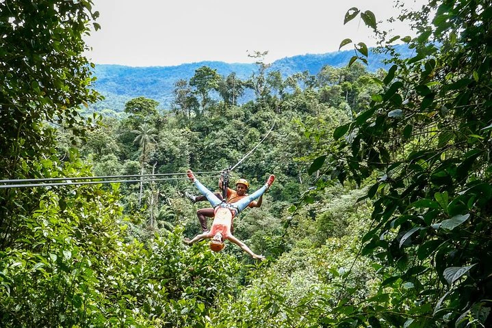 Excursión privada al bosque nuboso de Mindo desde Quito - imagen #5