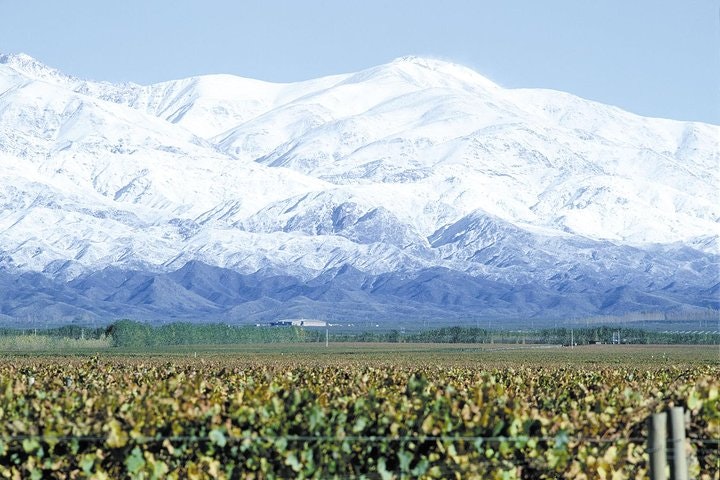 Private Tour: Full-Day Altamira Road Agritourism Experience from Mendoza - imagen #4