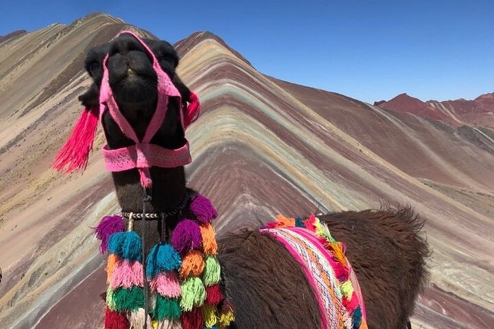 Vinicunca Rainbow Mountain Full-Day Tour from Cusco - imagen #7