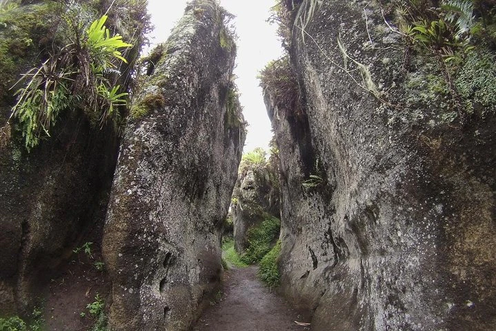 Excursión de día completo a Floreana - imagen #10