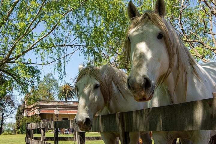 Gaucho Small-Group Full Day at a Farm in Buenos Aires - imagen #16