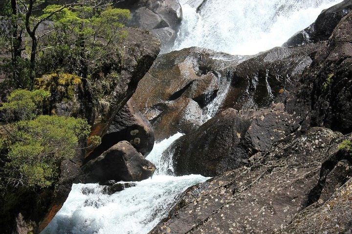 Puerto Blest Sightseeing Cruise and Waterfalls Hike from Bariloche - imagen #2
