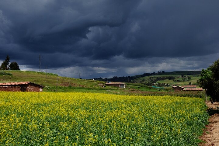 8-Day Ancient Altars of the Incas: Mysticim, Esoteric, Rural Communities & Machu Picchu - imagen #17