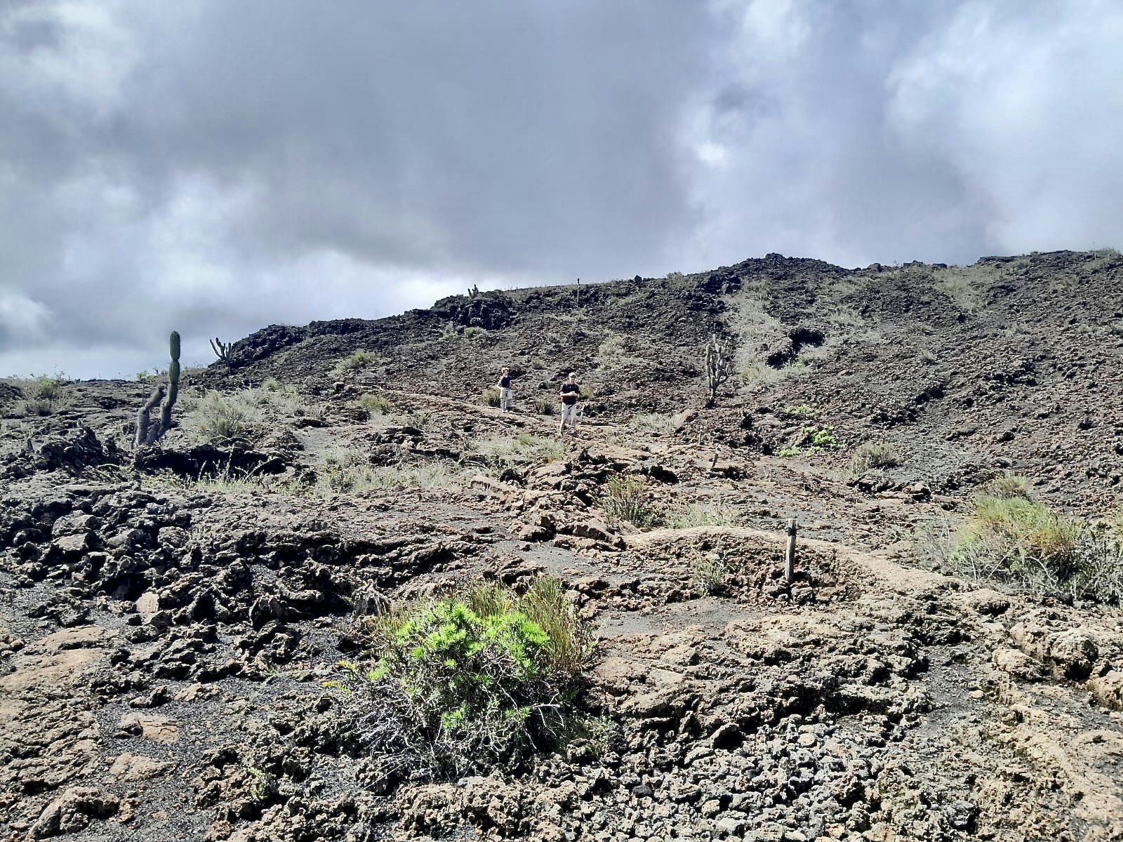Hike Volcan Sierra Negra - Isabela - imagen #4
