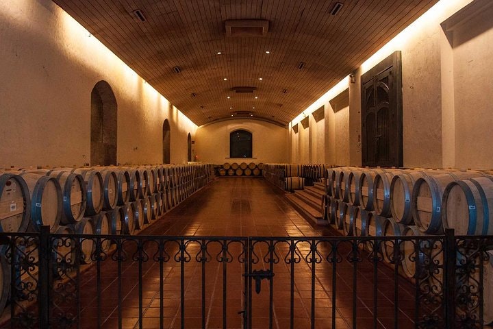 Half Day Trip to Concha y Toro Vineyard Tour Premium - imagen #2