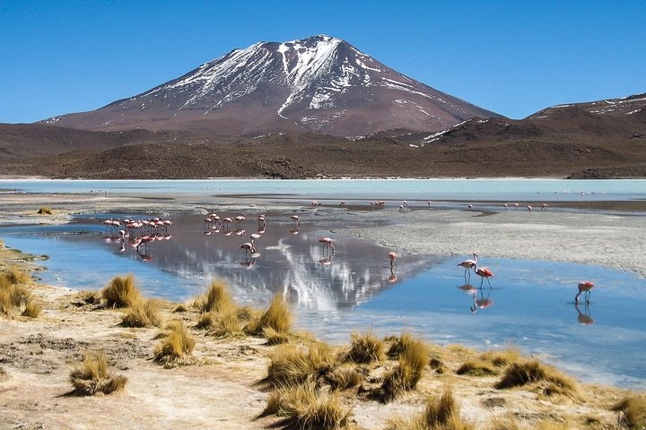 4-Days Experience at Uyuni Salt Flat From San Pedro de Atacama - imagen #5