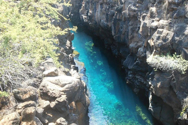 Galápagos: Santa Cruz e Isabela. Excursiones de 6 días - imagen #10