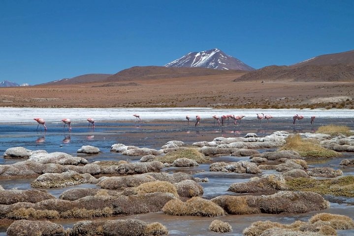 4-Days Experience at Uyuni Salt Flat From San Pedro de Atacama - imagen #3