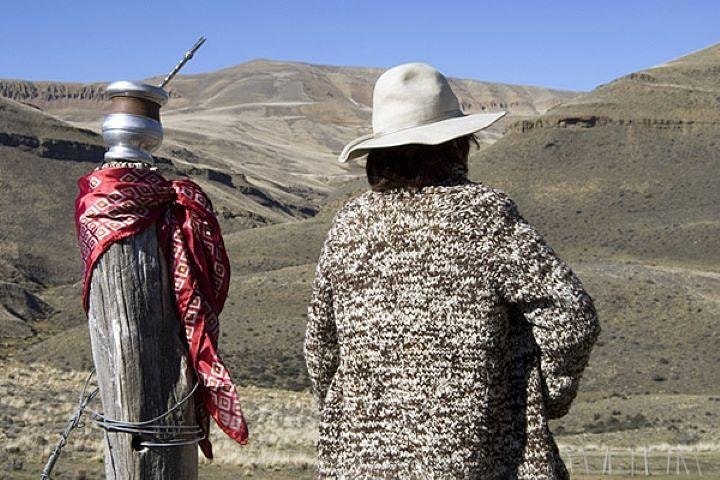 El Calafate Safari Experience - imagen #4