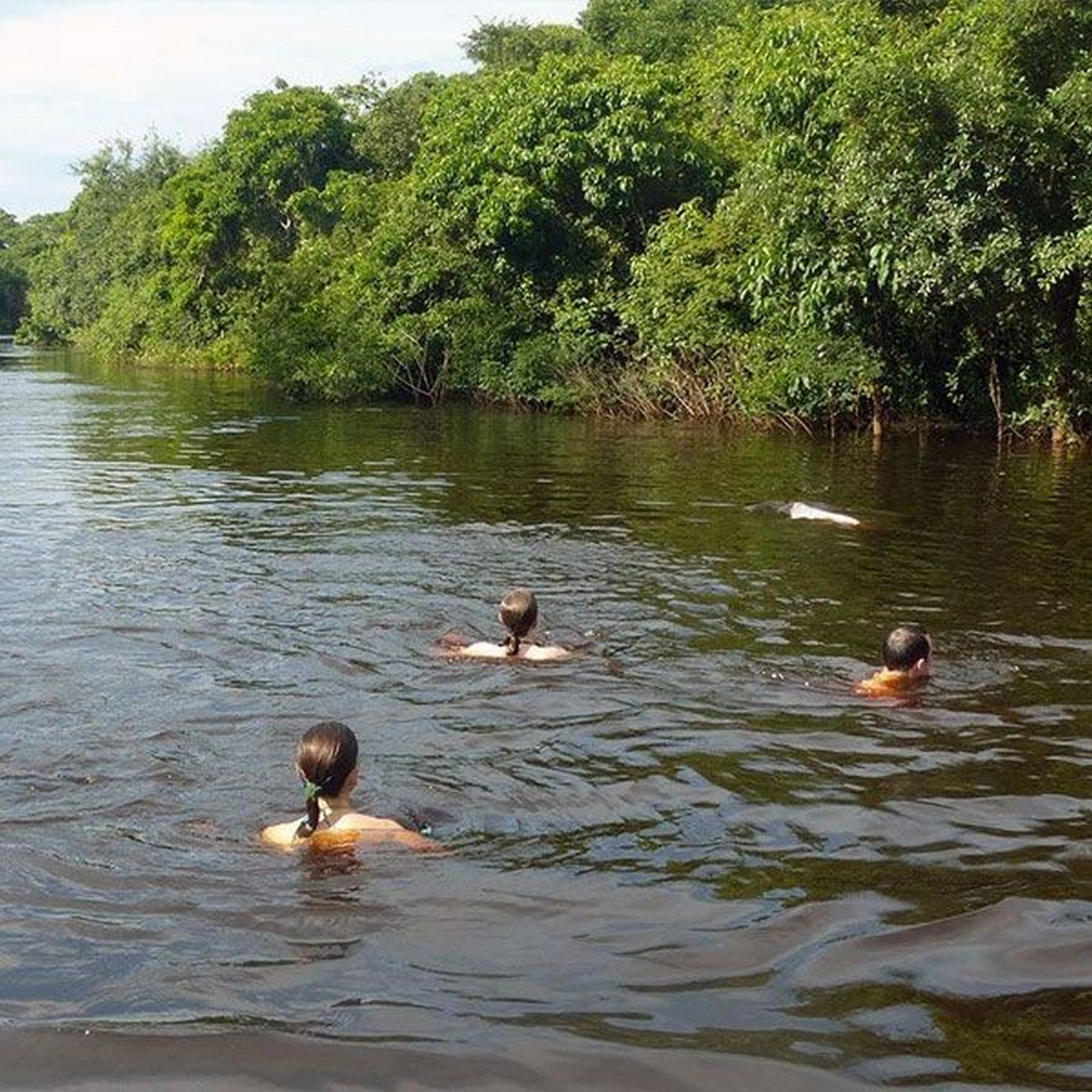 BO-RUR-04: Rurrenabaque | Selva y pampas, 5 días/4 noches: Descubriendo la naturaleza salvaje de la selva amazónica - imagen #28