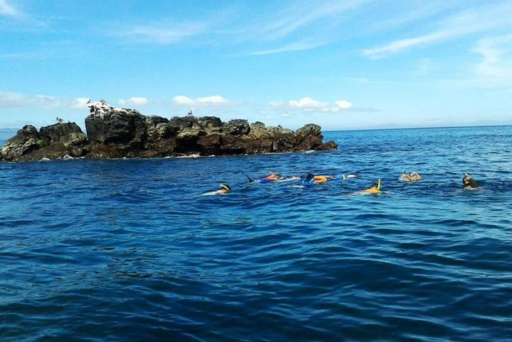 Full Day Santa Fe Playa escondida snorkeling tour - imagen #6