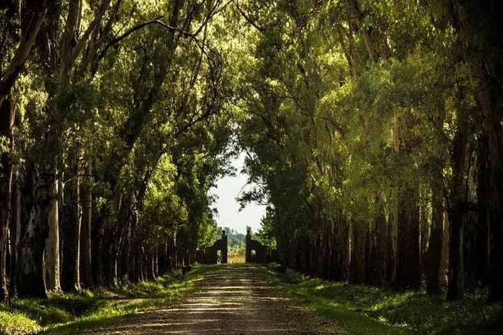 4-Day Adventure Trip in Buenos Aires - imagen #5