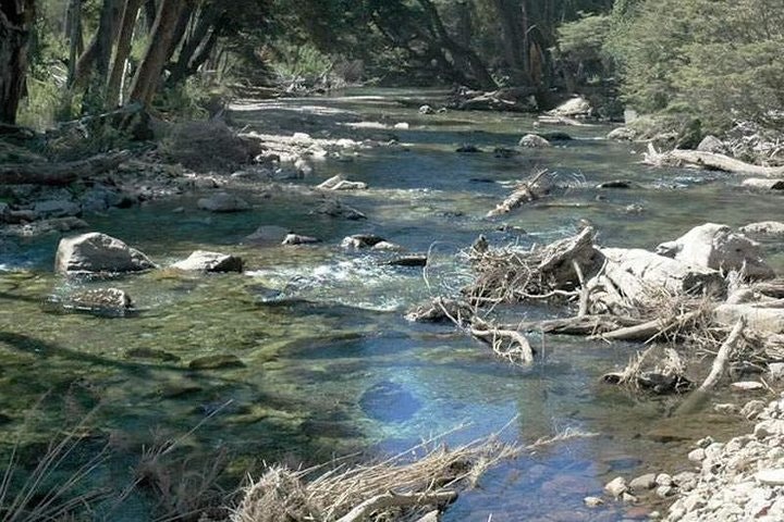 San Martín de los Andes and the Seven Lakes Route - imagen #6