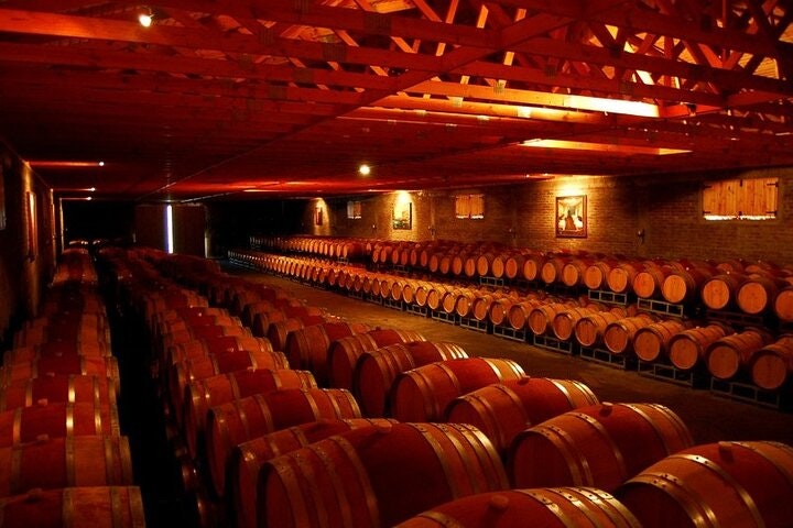 Laguna del Inca Portillo and Viña San Esteban with Wine Tasting - imagen #2