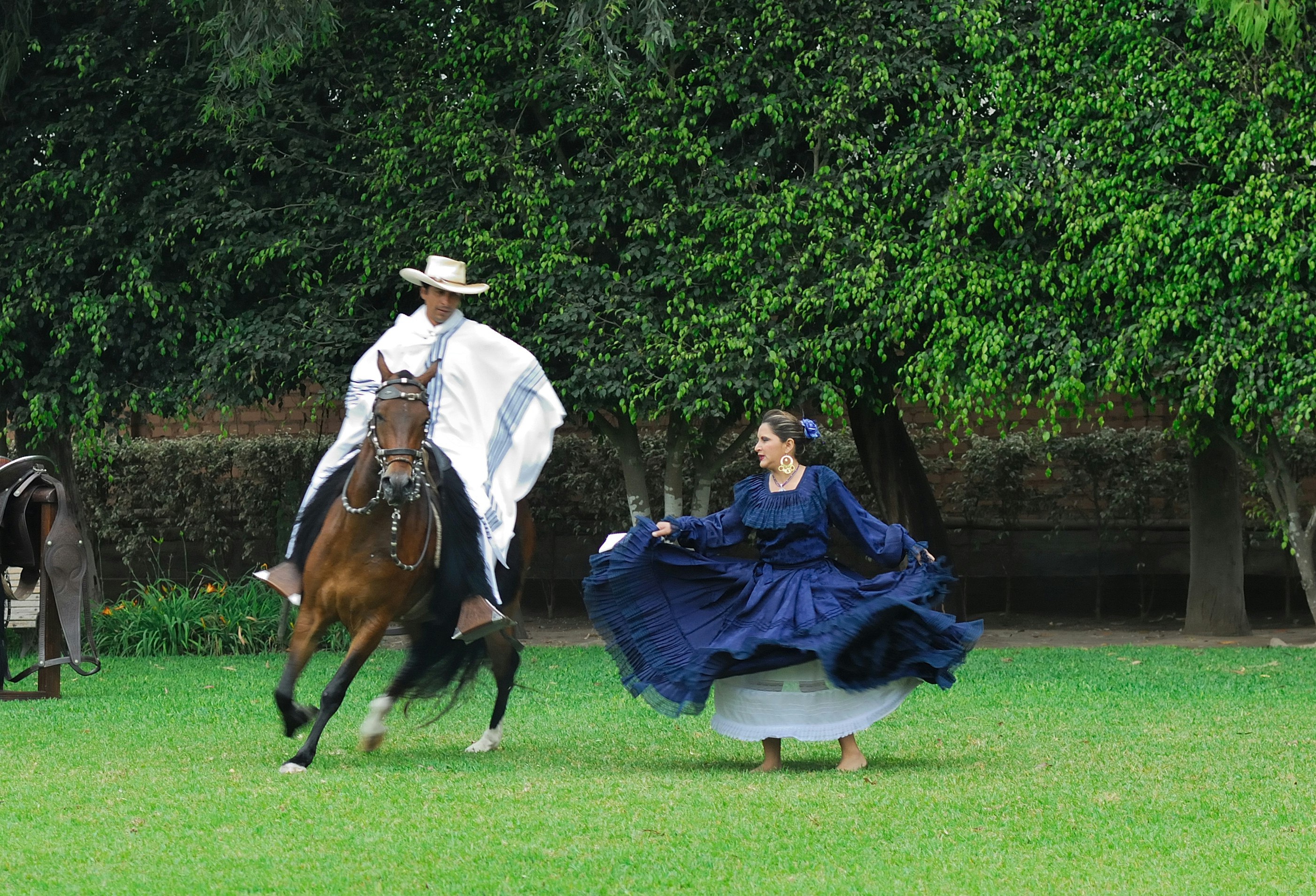 Pachacamac Temple, Peruvian Paso Horse & Artisan Store Private Tour from Lima - imagen #13