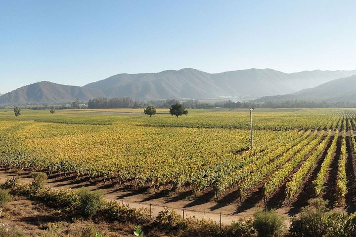 Small-Group Tour to Viña del Mar and Valparaiso from Santiago - imagen #6