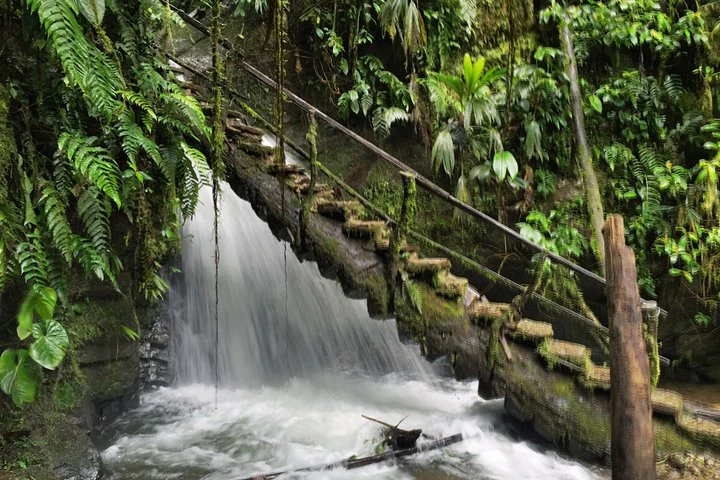 Excursión privada al bosque nuboso de Mindo desde Quito - imagen #7